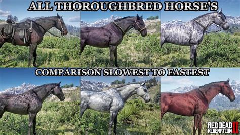 rdr2 horse stats explained.